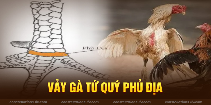 Vảy gà tứ quý phủ địa - Bí kíp nuôi gà có vảy tứ quý phủ địa