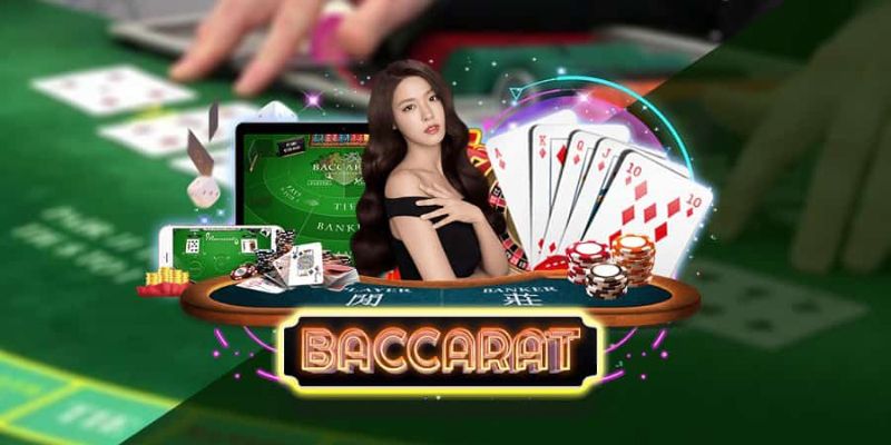 Thông tin đầu tư về Baccarat