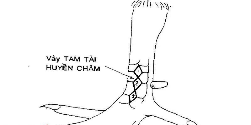 Gà có vảy tam tài huyền châm được nhiều sư kê săn lùng