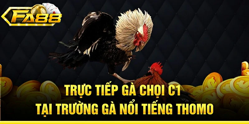 Số lượng trận đấu diễn ra mỗi ngày cực khủng