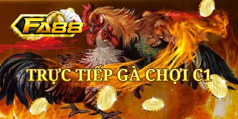 Đá gà chọi C1 tại cổng game FA88