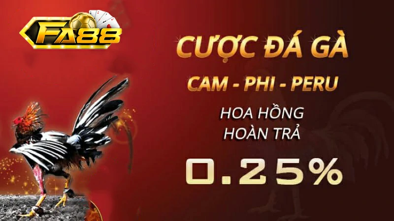 Những ưu đãi đặc biệt cho hội viên tham gia đá gà FA88