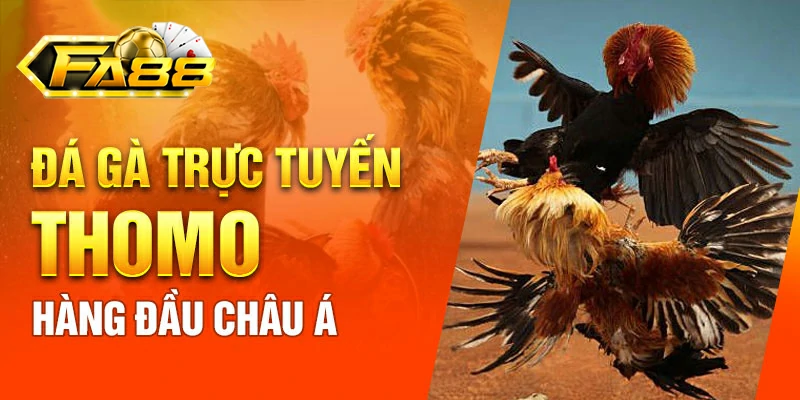 Đá gà thomo trực tiếp FA88