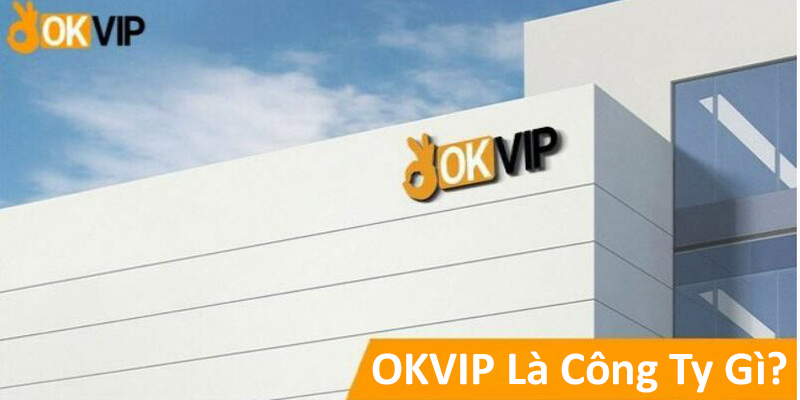 OKVIP là công ty gì