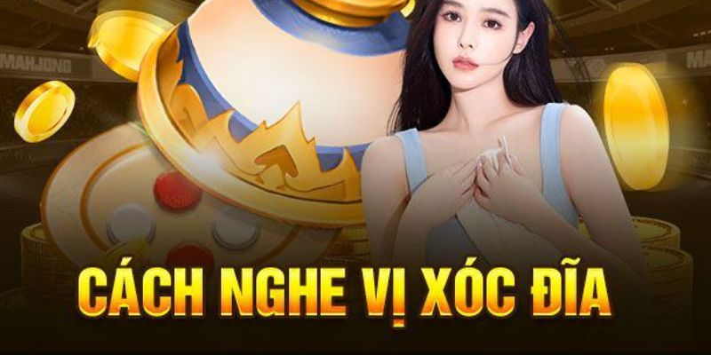 Kinh nghiệm áp dụng nghe vị xóc đĩa luôn trúng